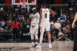 的稳定器 的稳定器