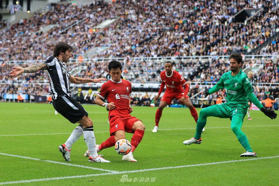 不仅为中国 不仅为中国